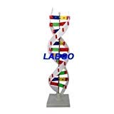 MG Scientific DNA Activity Model 0001