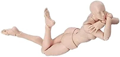 Action Figure with Arms Male Female Human Body PVC Blank Action Figure Model Drawing Mannequins with Stand for Sketching Painting (Skin Color Woman)