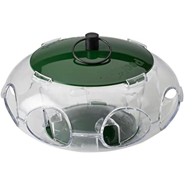 Peckish Small Bird Seed Feeder