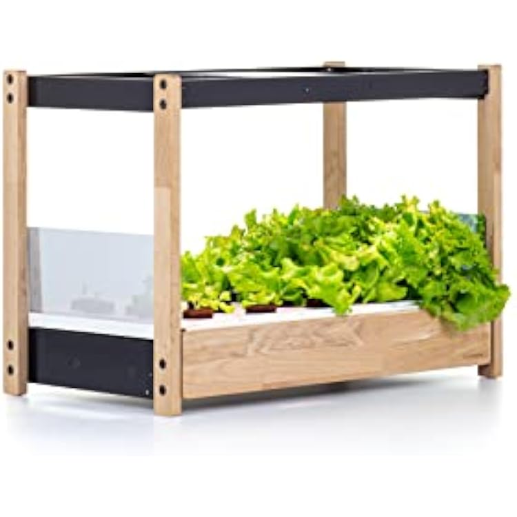 Click and Grow 25 Indoor Garden System Includes 54 Pack of Salad Greens Plant Pods, Black
