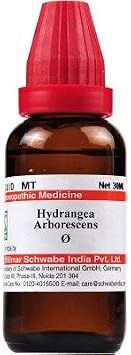 Willmar Schwabe India Homeopathic Hydrangea Arborescens Mother Tincture Q (100ml) - by Venus.Exports