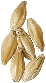 Malt - German Munich - 10 lb
