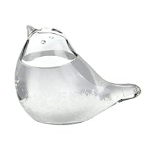 Weather Predictor, Bird Shape Storm Glass Weather Forecaster, Weather Stations Liquids Barometer Meteorology Station Home Decor Gift