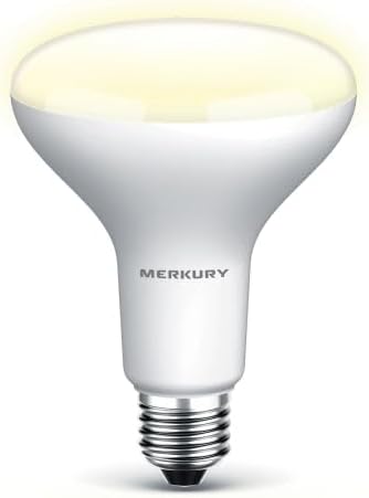 Smart Wi-Fi BR30 Bulb - White