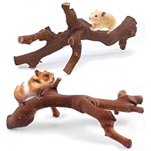 kathson 2PCS Wood Hamster Climbing Branches Decor, Natural Wooden Syrian Hamster Climb Chewing Toys, Rat Exercise Toys, Small Animal Habitat Decor Accessories for Dwarf Pets, Gerbils, Mice (7.8IN)