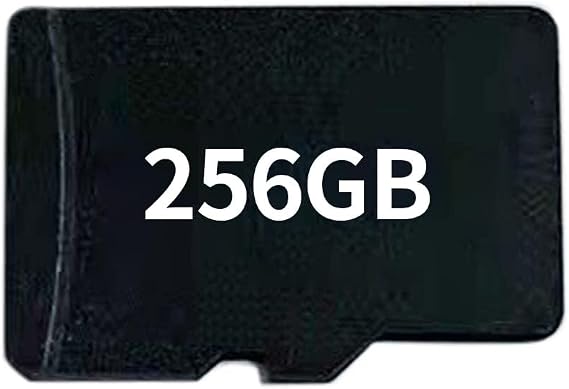 JOYARCH Game Card for TRIMUI SMART PRO, 256GB Pre-Installed 14300+ Games, Black