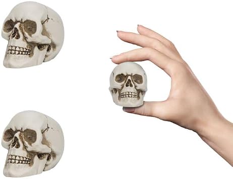 READAEER Resin Skull 2 pcs/Set, Mini Skull Model for Home Decoration, Halloween Skull Statue, Human Skull Head Bone Model for Desktop