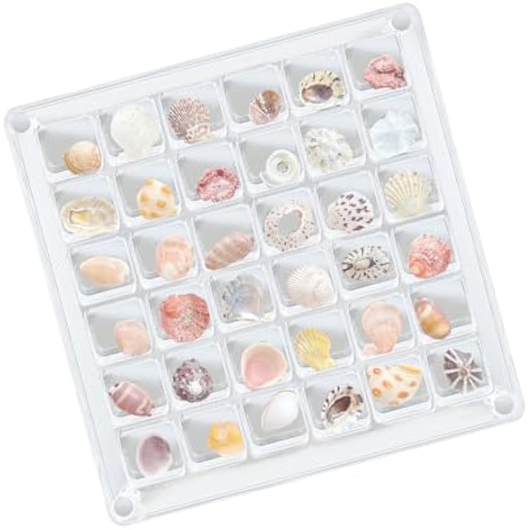 3664100 Grids Acrylic Magnetic Seashell Display Box,Acrylic Boxes for Display for Seashells, Pins, Starfish, Beach Souvenirs, Sturdy Clear Organizers, Magnetic Art Display, Seashell Decor