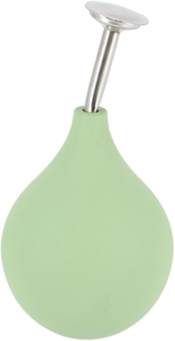 Esschert Design Plant Flower Sprayer Hand Silver Green Water Mist Sprinkler Ball