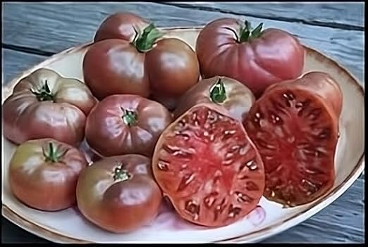 Tomato Cherokee Purple Great Garden Heirloom Vegetable Seeds By Seed Kingdom 50 Seeds