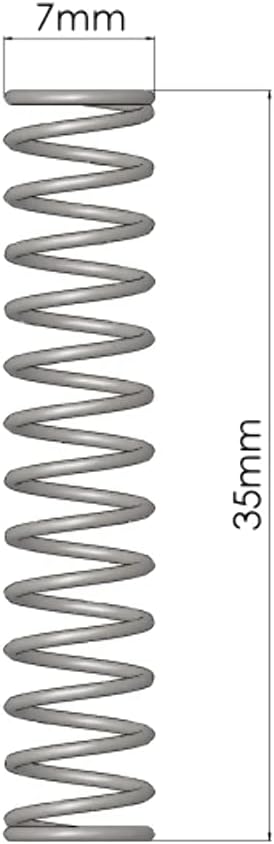 Go Fast Bits - Plunger Spring for DV Valve (6119)