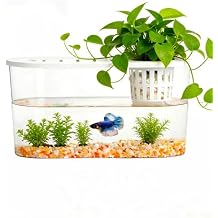 1 Gallon Betta Fish Tank Unbreakable Plastic Aquarium Oblate Fish Bowls with Plant Basket & Lid for Desktop Decoration