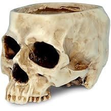 READAEER Skull Planter with Drain Hole, Resin Skull Shaped Flower Pot Candy Bowl, Gothic Decoration for Home Office Desk- White
