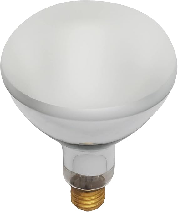 Satco Products S7006 120V 400BR40 Fluorescent Pool Lamp