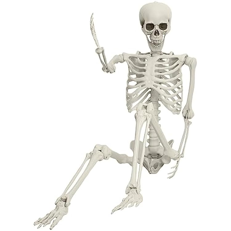 Halloween Life Size Skeleton, 5.4FT Poseable Skeleton Prop, Realistic Plastic Human Bones with Movable Joints, Haunted House Lawn Decor, Skeleton Party Supplies 170cm