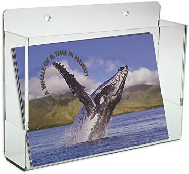 Source One LLC Premium Wall Mount Postcard Holder Display Rack (1-Pack Clear)