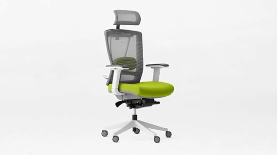 Autonomous Ergo Chair 2 - Premium Ergonomic Office Chair - All Black Adjustable Chair (Evergreen)