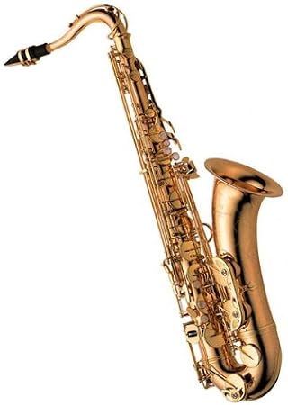 Yanagisawa Tenor Sax Bronze