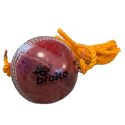Hanging Cricket Ball with 10-Foot Cord | Leather Ball for Batting Practice & Hand-Eye Coordination | 5.5 oz Red Cricket Ball
