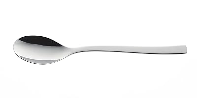 RAK Porcelain CFIDIS Fine Dinner Spoon Case of 12