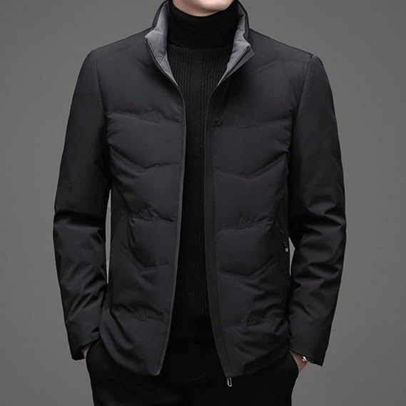 Standing Collar Short Down Jacket Middle-Aged Men Warm Coat White Duck Velvet Winter Coat(E,2XL Code)