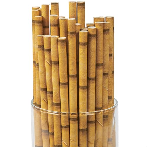 Fun Express BAMBOO PAPER STRAWS 24PC - Party Supplies - VBS Vacation Bible School SuppliesDecor - 24 Pieces