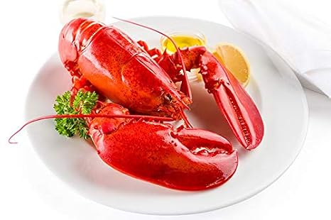 Maine Lobster Now: 1.5 lb Live Maine Lobster