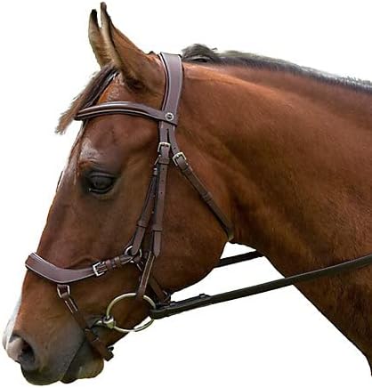 Henri de Rivel Pro Anatomical Bridle