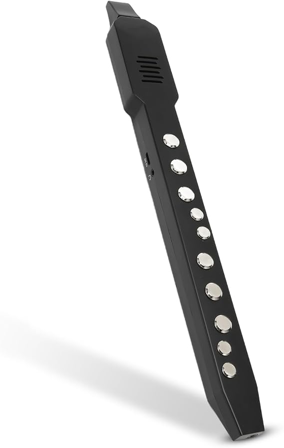 Digital Wind Instrument, Mini MIDI Electric Saxophone, with 10 Tones and 12 Accompaniments, Built in 800mAh Battery, with Removable Nozzle (Black)