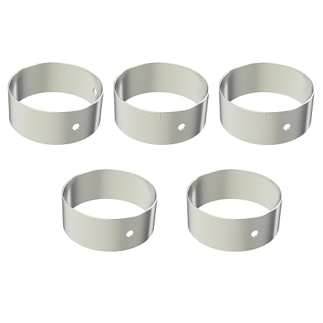 1235M Camshaft Bearing Set 5PCS Engine Bushing Race Compatible with Chevrolet GMC SBC Buick Pontiac Cadillac 4.6L 4.9L 5.0L 5.4L 5.7L 6.3L 6.6L 283 302 305 307 327 350 383 400, Silver