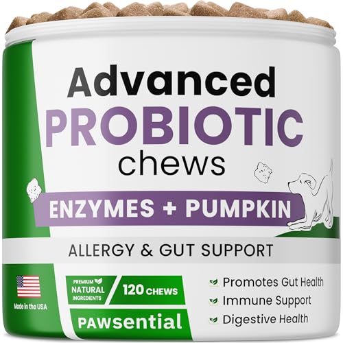 Probiotic Chews with Digestive Enzymes, Probiotics, Prebiotics - Aids in Stool Quality, Gas, Constipation, Diarrhea Relief - 120Ct Chews Single Pack Lamb