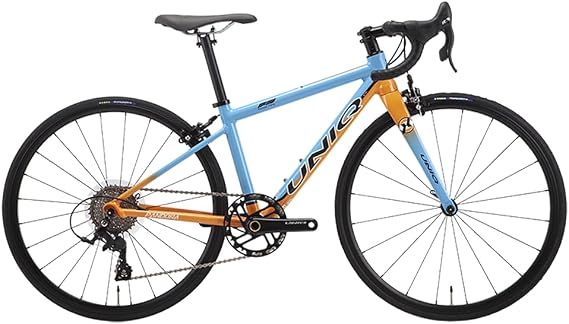 Youth 24" Road Bike 8 Speed Sport Bicycle RA24 Mini Carbon Bike Kids Youth City Commuter Bicycle Adjustable with Ultralight Carbon Fork & AL Alloy Frame Boy Girls 12 & Above
