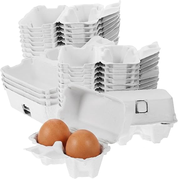 2 Count Egg Carton: Small Paper Cartons for Fresh Eggs - Empty Cardboard Crates for Farmers Market, Easter Crafts and Fridge Storage (White, 24 Pcs)