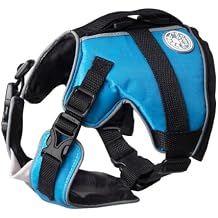 Small Swim Vest Blue