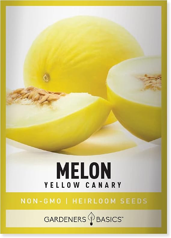 Gardeners Basics Yellow Canary Melon Seeds for Planting Heirloom, Non-GMO Vegetable Variety, 2 Grams Seed Great for Summer Melon Gardens