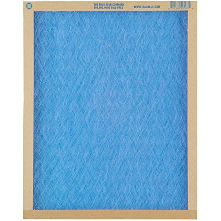 True Blue 110301 Air Filter, 10 x 31 x 1