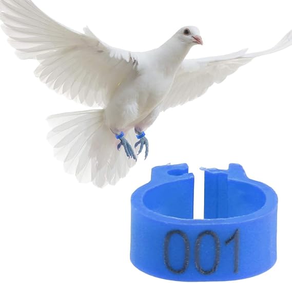 Bird Leg Rings 8 mm Bird Leg Clip Rings Plastic Pigeon Leg Bands Numbered Leg Rings for Pigeon Parrot Chicks Duck (Blue)