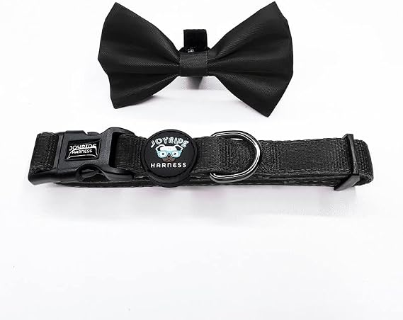Joyride Dog Collar with Removable Bow Tie | Black | XS
