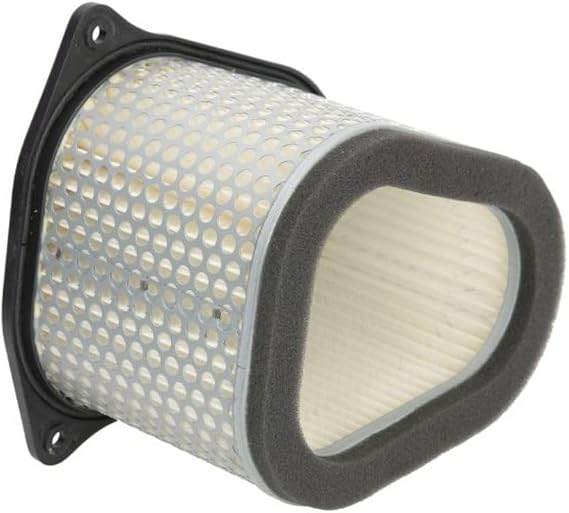 Hiflofiltro HFA3906 Premium OE Replacement Air Filter, Regular