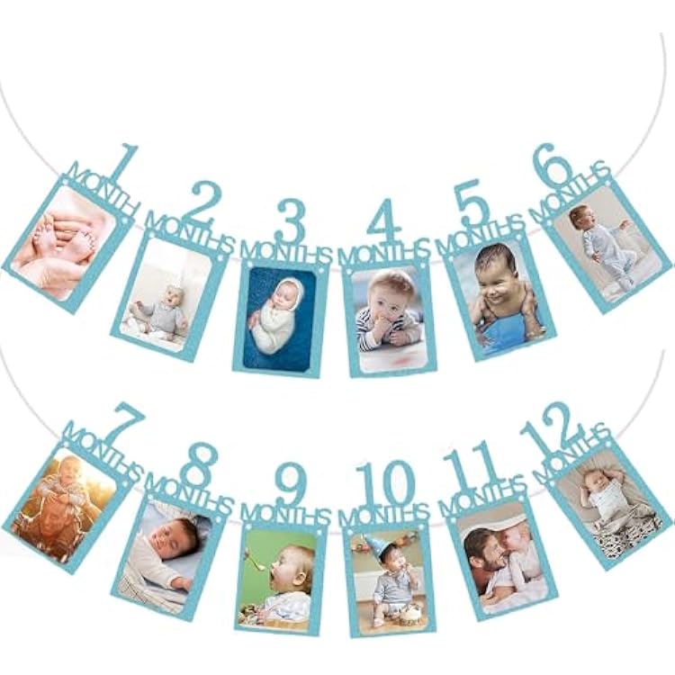 First Birthday Party Banner, Baby Photo Banner from Newborn to 12 Month, 1st Birthday Celebration with Frame, Milestones for Party Photo Garland Galore