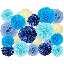 20 Pcs Tissue Pom Poms Kit, Tissue Paper Flowers for Birthday, Boy Baby Shower, Nursery, Graduation, Classroom Decoration (Blue Mix)
