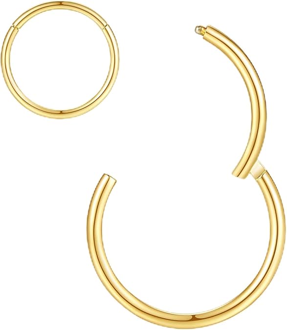ORANGELOVE Hypoallergenic Nose Rings 20G 18G 16G 14G 12G 10G 8G 316l Surgical Steel Septum Jewelry Hinged Segment Ring Body Piercing Nose Hoop Lip Rings Nose Helix Cartilage Rook Earrings