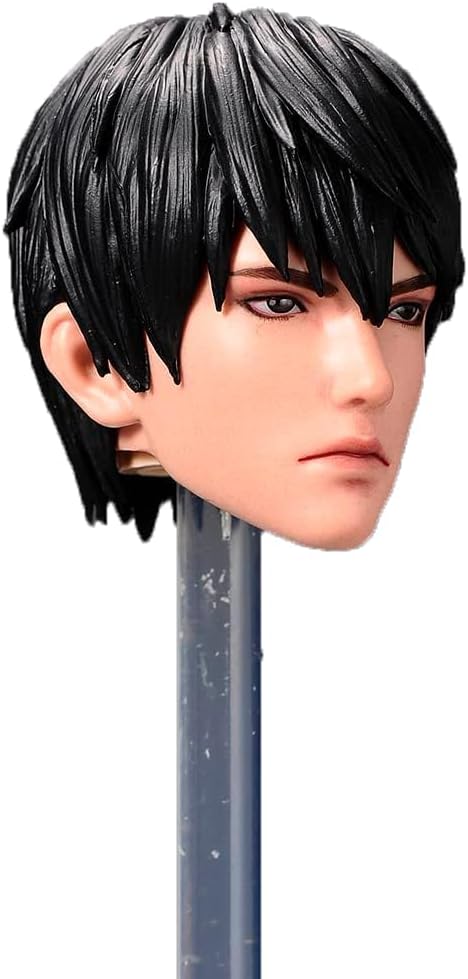 1/6 Scale Male Head Sculpt, Young Anime Boy Figure Head Accessory for 12 Inches Action Figure Body, Painted Anime Man in Black Hair Action Figure Head Sculpture