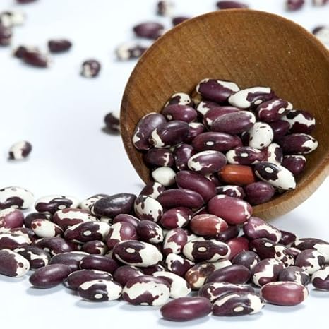 Anasazi Beans - Dry - 1 bag - 2 LBS