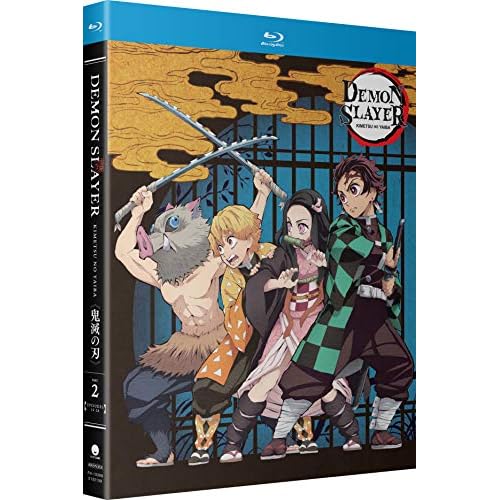 Demon Slayer: Kimetsu no Yaiba Standard Edition - Part Two