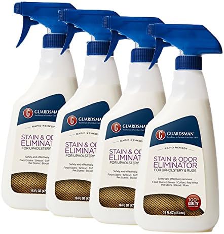 Guardsman Stain & Odor Eliminator