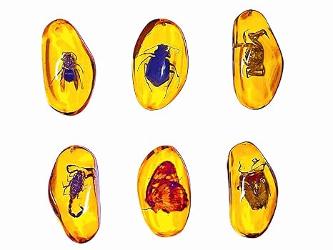 6pcs Amber Fossils with Insects Samples Stones Crystal Samples for Home Decorations Collections Oval Pendants Pendant Science Educational (6PCS)