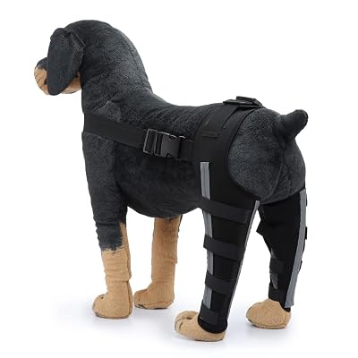Dog Knee Brace, 2022 New Upgraded Dog Leg Braces with Metal Hinged Flexible Support and Reflective Seat Belts for ACL, CCL, Arthritis, Knee Cap Dislocation and Reduces Pain L