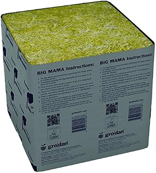 1/cs Big Mama 8x8x8, case of 1