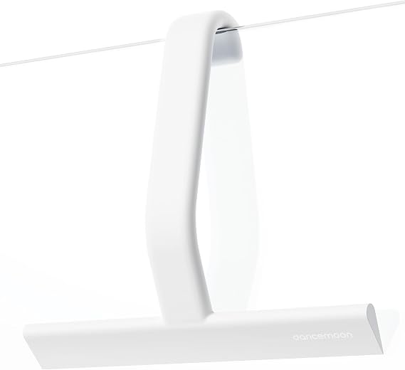 dancemoon JustHang Shower Squeegee with Built-in Hook, 25 cm, White